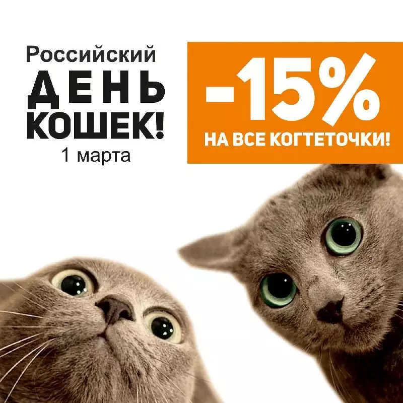1 марта Российский день кошек!