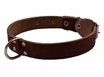 Ошейник для собак Каскад кожаный двойной с кольцом посередине, 45 мм 57-66 см