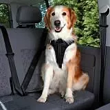 Шлейка к ремню безопасности в автомобиле для собак Trixie 12857 L 65–80 см/25 мм черный