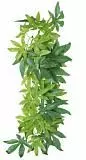 Растение для террариума Trixie Abutilon 20*30 см шёлк