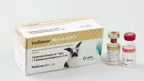 Вакцина для кроликов Нобивак Мухо-RHD (1д+1мл) 