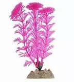 Растение Tetra GloFish флуоресцирующее S 13 см, розовое