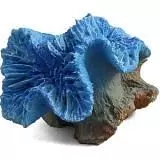 Коралл Laguna 2906LD Каталофиллия голубая, 80*70*70 мм